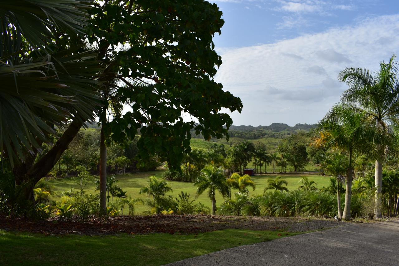 Hotel Hacienda Agroturistico Vista Hermosa Camuy 외부 사진